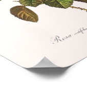 Rosa Centifolia Foliacea Poster (Ecke)