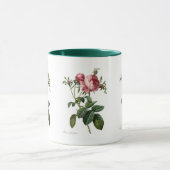 Rosa centifolia foliacea tasse (Zentrum)