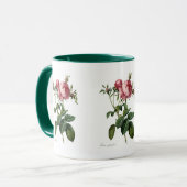 Rosa centifolia foliacea tasse (Vorderseite Links)