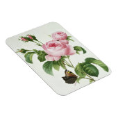 Rosa Centifolia Magnet (Rechte Seite)