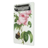 Rosa Centifolia Mini Klemmbrett (Gewinkelt2)