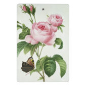 Rosa Centifolia Mini Klemmbrett (Rückseite)