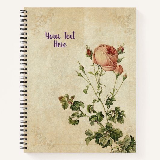 Rosa Centifolia Notebook - Chic Floral Gift Notizblock (Vorderseite)