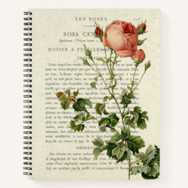 Rosa centifolia Notebook II Notizblock
