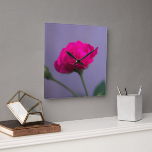 Rosa centifolia quadratische wanduhr