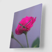 Rosa centifolia quadratische wanduhr (Winkel)