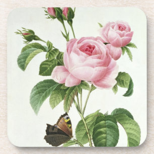 Rosa Centifolia Untersetzer