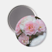 Rosa Cerezo グ ネ Magnet (Vorderseite/Rückseite)