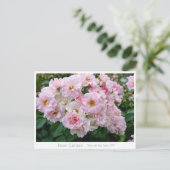 Rosa Cerezo Postkarte (Stehend Vorderseite)