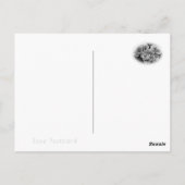 Rosa Cerezo Postkarte (Rückseite)