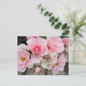 Rosa Cerezo Postkarte (Stehend Vorderseite)