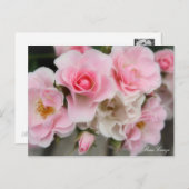 Rosa Cerezo Postkarte (Vorne/Hinten)