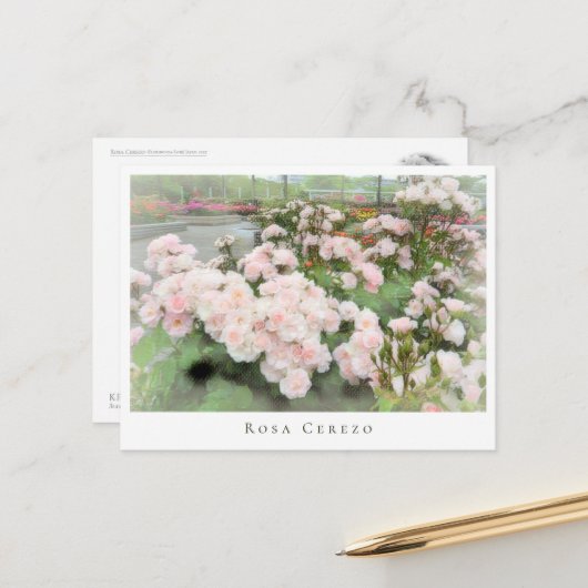 Rosa Cerezo Postkarte (Vorderseite/Rückseite Beispiel)
