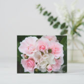 Rosa Cerezo [Postkarte] Postkarte (Stehend Vorderseite)