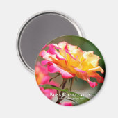 Rosa Charleston Magnet (Vorderseite/Rückseite)