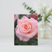 Rosa Cherish [Postcard] Postkarte (Stehend Vorderseite)