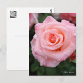 Rosa Cherish [Postcard] Postkarte (Vorne/Hinten)