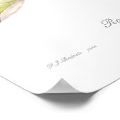 Rosa chinensis cruenta poster (Ecke)