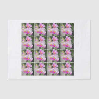 rosa Chintz decoupage Orchidee mit 16 Aquarellen Seidenpapier