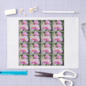 rosa Chintz decoupage Orchidee mit 16 Aquarellen Seidenpapier (Handwerk)