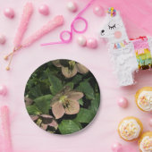 Rosa Christrose Pappteller (Party)