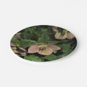 Rosa Christrose Pappteller (Schrägansicht)