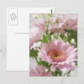 Rosa Chrysanthemas 5 Elegance Postkarte (Vorne/Hinten)