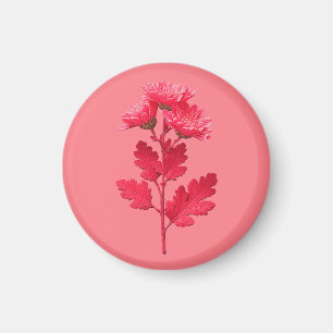 Rosa Chrysantheme Magnet