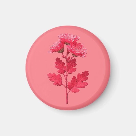 Rosa Chrysantheme  Magnet (Vorne)
