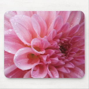 Rosa Chrysantheme Mousepad