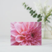 Rosa Chrysantheme-Postkarte Postkarte (Stehend Vorderseite)