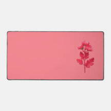 Rosa Chrysantheme