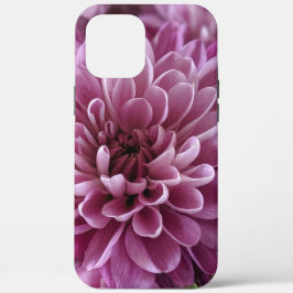 Rosa Chrysanthemen-Blumen-Foto-Design Case-Mate iPhone Hülle