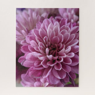 Rosa Chrysanthemen-Blütenfoto Puzzle
