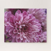 Rosa Chrysanthemen-Blütenfoto Puzzle (Horizontal)
