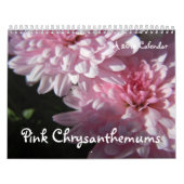 Rosa Chrysanthemen, ein Kalender 2012 (Titelbild)