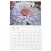 Rosa Chrysanthemen, ein Kalender 2012 (Mär 2027)