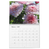 Rosa Chrysanthemen, ein Kalender 2012 (Feb 2027)