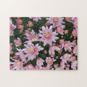 Rosa Chrysanthemen Puzzle (Horizontal)