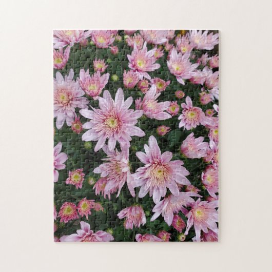 Rosa Chrysanthemen Puzzle (Vertikal)