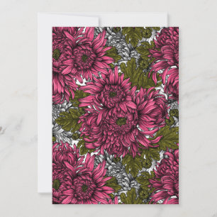 Rosa Chrysanthemenblüten