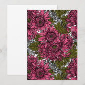 Rosa Chrysanthemenblüten (Vorne/Hinten)