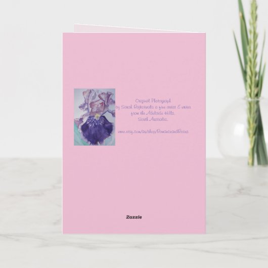 Rosa Chrysanthemum Blume Blumenkärtchen Geburtstag Karte (Rückseite)