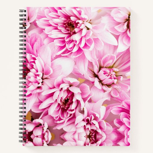 Rosa Chrysanthemum-Blume Notizblock (Vorderseite)