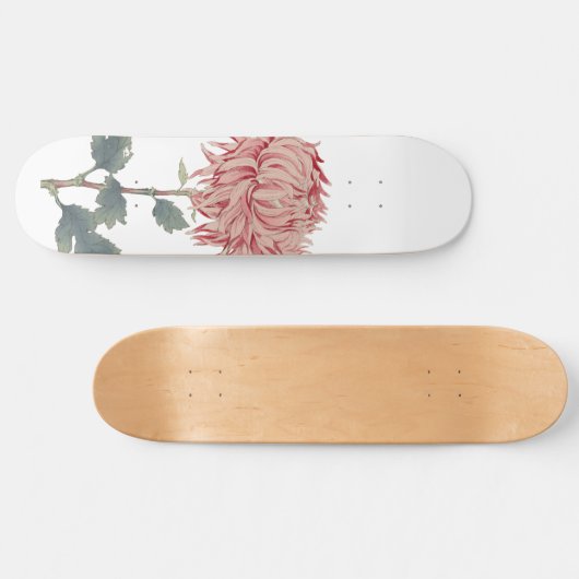 Rosa Chrysanthemum Globe Blume Skateboard (Horizontal)