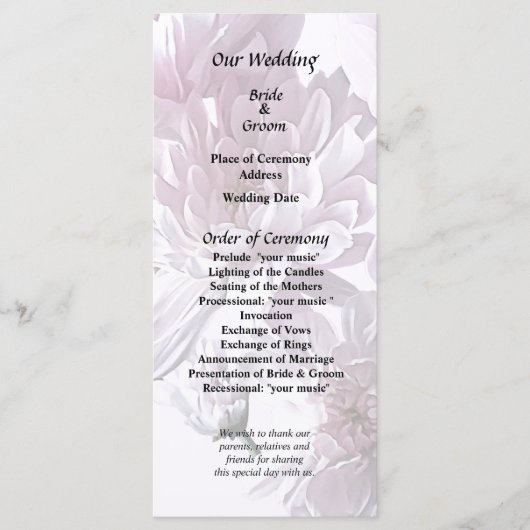 Rosa Chrysanthemum Herz Programm (Vorderseite)