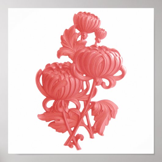 Rosa Chrysanthemum Poster (Vorne)