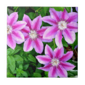 Rosa Clematis und Oregano Fliese (Vorderseite)