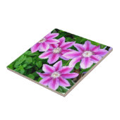 Rosa Clematis und Oregano Fliese (Seite)