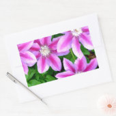 Rosa Clematis und Oregano Rechteckiger Aufkleber (Umschlag)